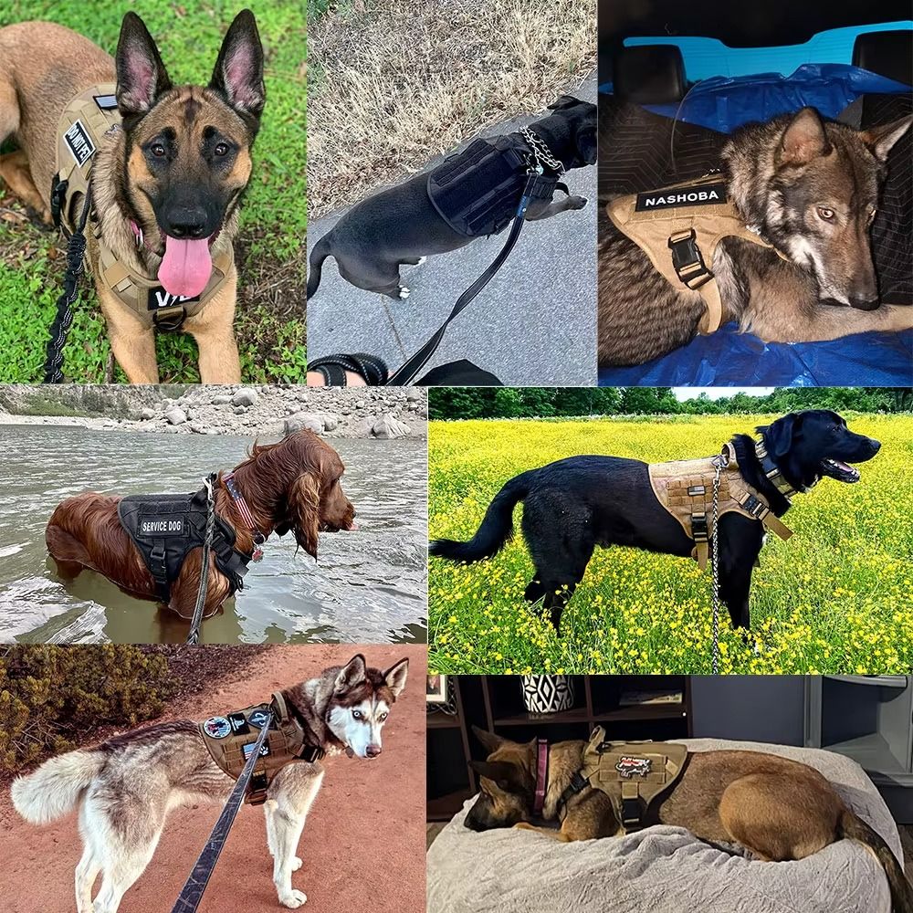 Kit Táctico para Perro