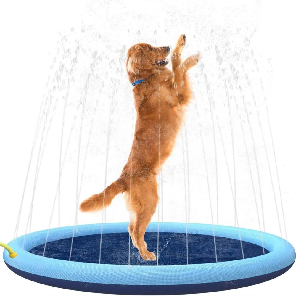 Piscina con Chorros para Perro