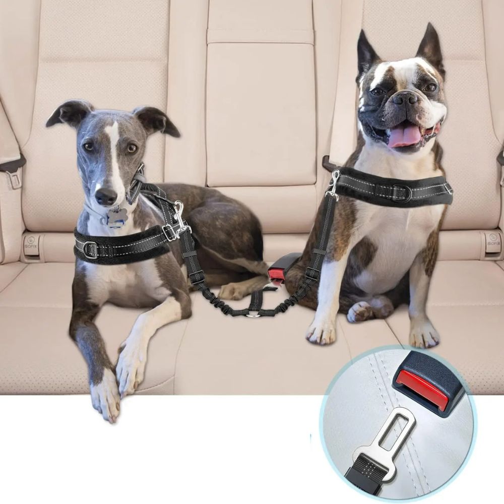 Cinturón de Coche Doble para Perros