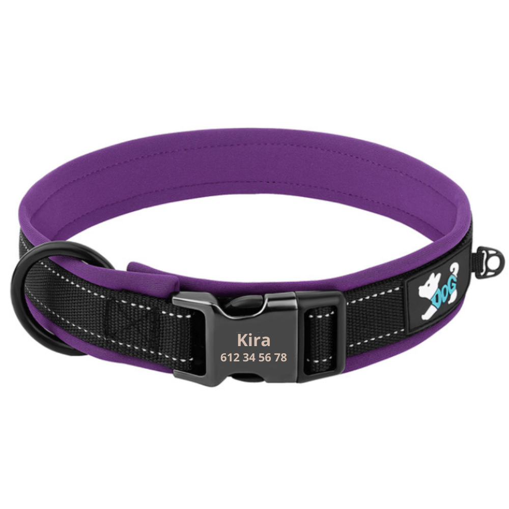 Personalisiertes reflektierendes und gepolstertes Halsband