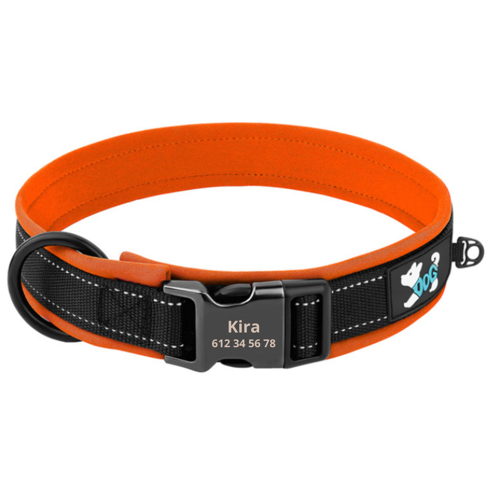 Personalisiertes reflektierendes und gepolstertes Halsband