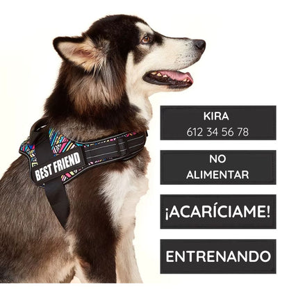 2x Parches de Velcro para Perro