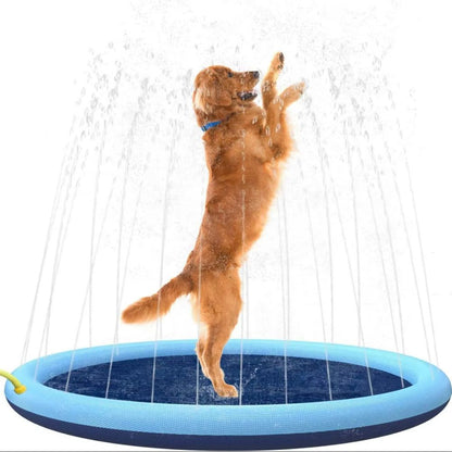 Piscina con Chorros para Perro