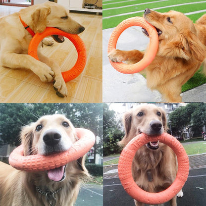 Disco Volador para perro
